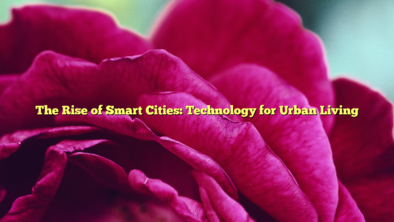 The Rise of Smart Cities: Technology for Urban Living