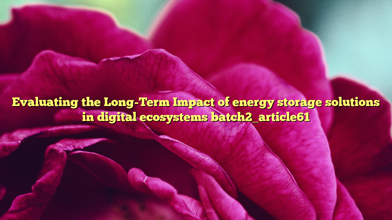 Evaluating the Long-Term Impact of energy storage solutions in digital ecosystems batch2_article61
