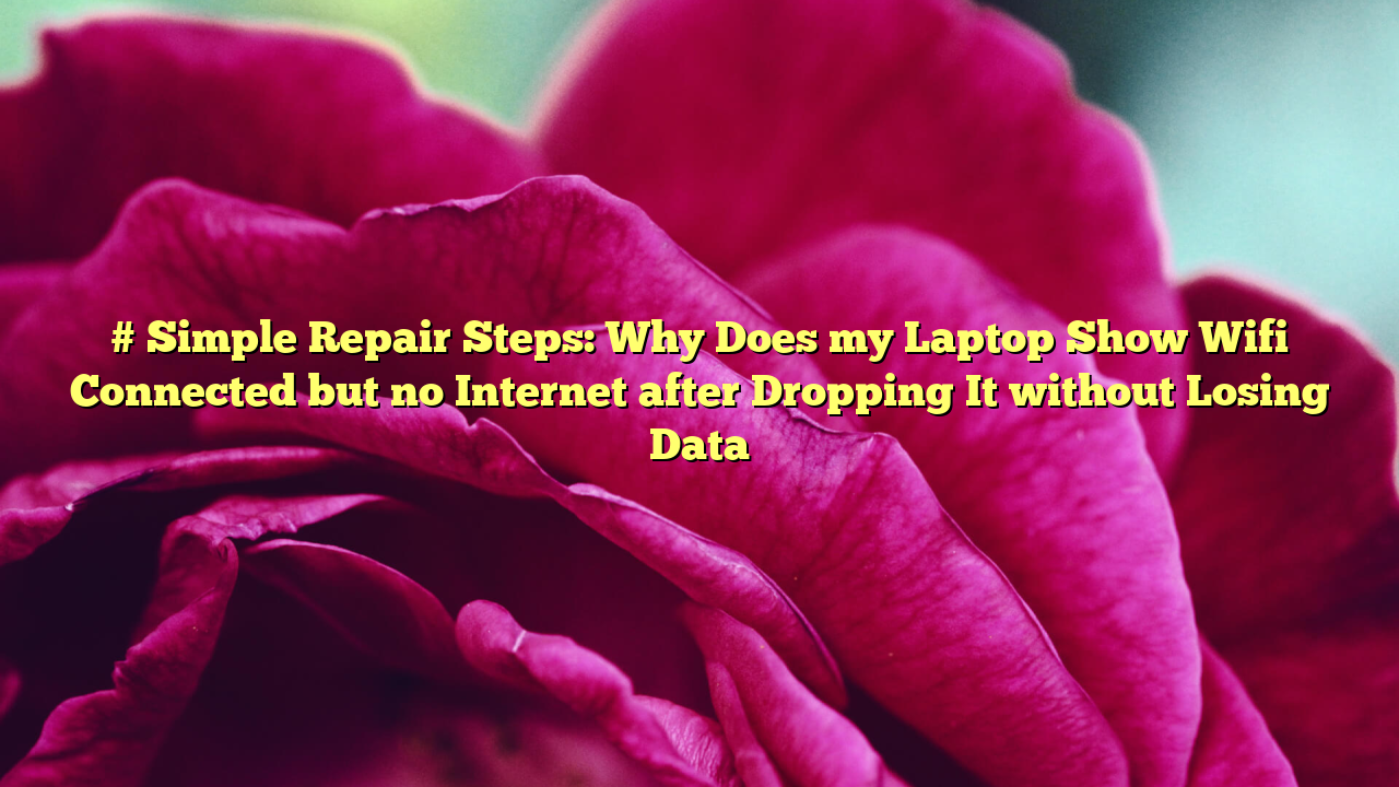 # Simple Repair Steps: Why Does my Laptop Show Wifi Connected but no Internet after Dropping It without Losing Data