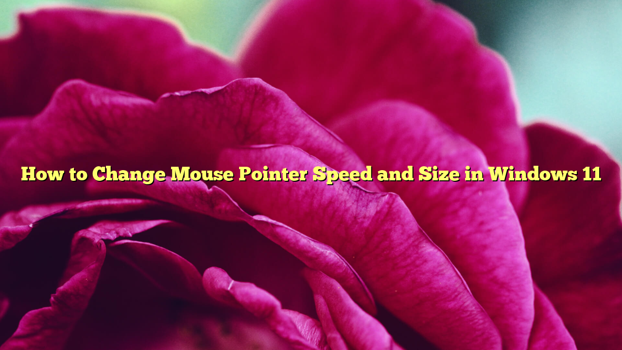 How to Change Mouse Pointer Speed and Size in Windows 11