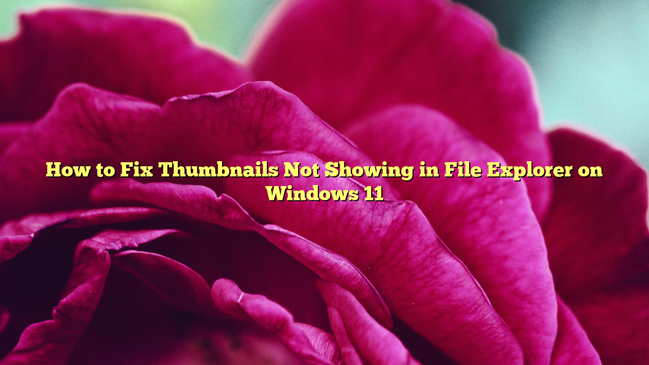 How to Fix Thumbnails Not Showing in File Explorer on Windows 11