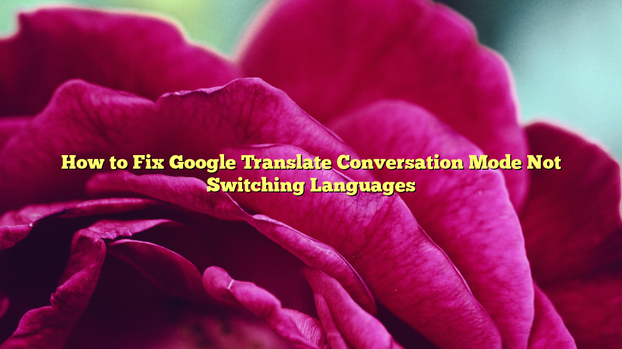 How to Fix Google Translate Conversation Mode Not Switching Languages